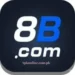 8B Game