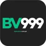 BV999 Game