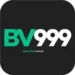 BV999 Game
