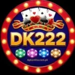DK222 Game