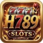 H789 Game