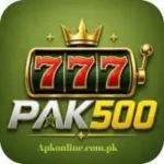 PAK500 Game
