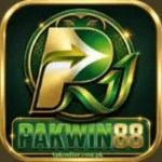PAKWIN88 Game