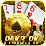 PK3 Game