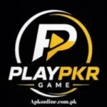 PlayPkr Game