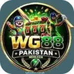 WG88 Game