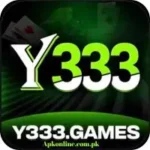 Y333 Game