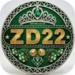 ZD22 Game